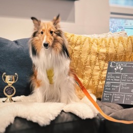 Instagram post from @1550onthecharles on April 11, 2024 16:19:22pm