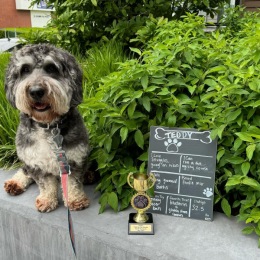 Instagram post from @1550onthecharles on June 05, 2024 19:19:29pm